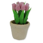 Pot de tulipes rose