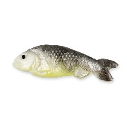 Poisson