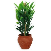 pot en terre cuite avec plante verte miniature 1/12e 1/12