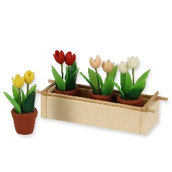 Jardinière avec 4 pots de tulipes