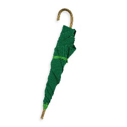 Parapluie vert (fermé) miniature 1/12