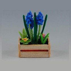Caisse bois iris bleu