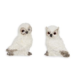 Hibou des neiges ass.