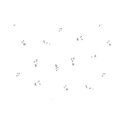 Papier peint imprimé blanc motifs bleus, Mur