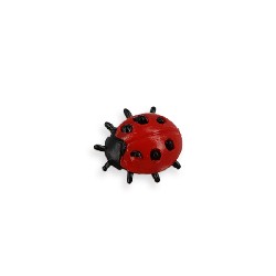 Coccinelle 1/12