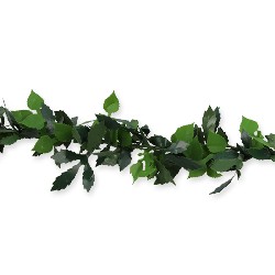 Guirlande de feuilles 1.80m 1/12