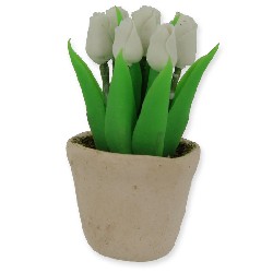 Pot de tulipes blanc
