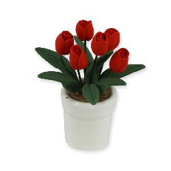 Tulipes rouges dans pot, Jardin
