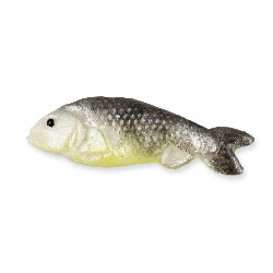 Poisson