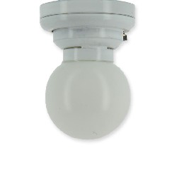 Plafonnier LED Globe Blanc